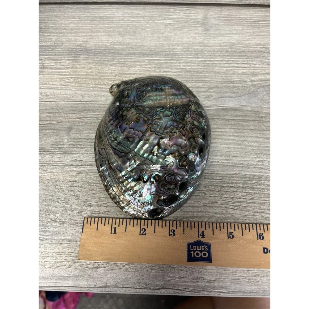 Large Abalone Seashell Iridescent Bowl Beach Home‎ Decor Pearl A3